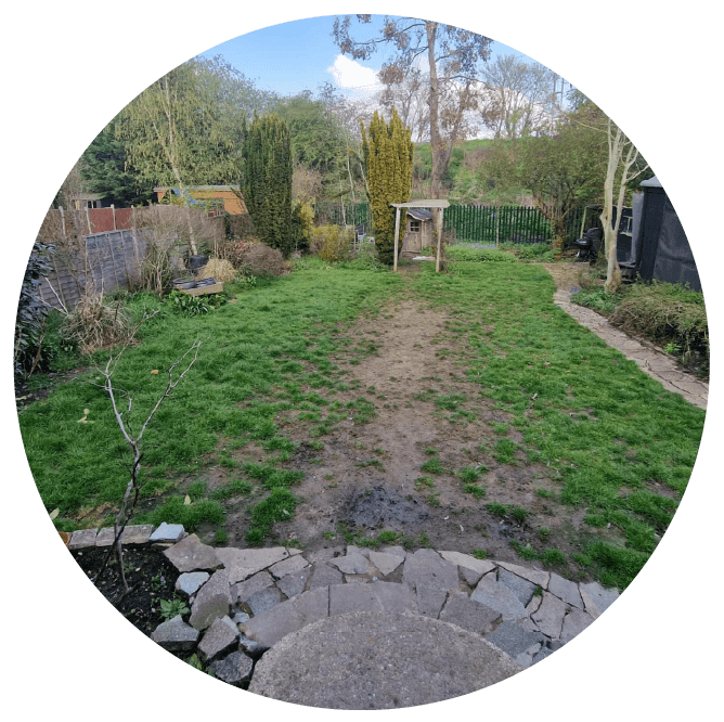 Front garden grass appearing dull and unmaintained before lawn service.