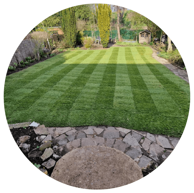 Garden clean-up transformation from overgrown plants and leaves to a tidy, well-ordered garden.