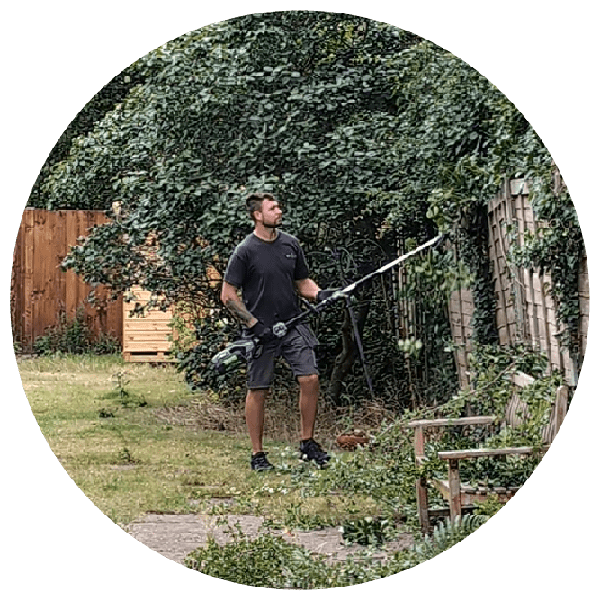 Untidy hedge with uneven growth before trimming.