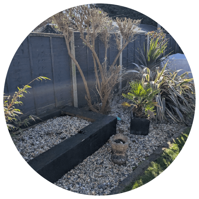 Newly designed backyard garden featuring stone pathways, manicured shrubs and decorative planting beds.