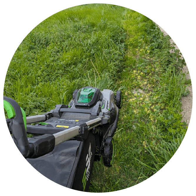 Lawn with overgrown grass and uneven patches before maintenance.