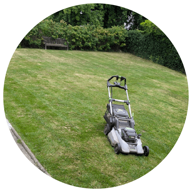 Freshly mowed lawn with even grass lines and clean, sharp edging after professional maintenance.